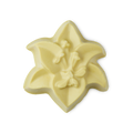 Lily - 85g