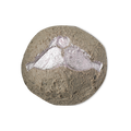 Lovey Dovey - 100g