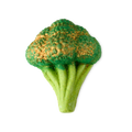 Sparkly Broccoli - 135g