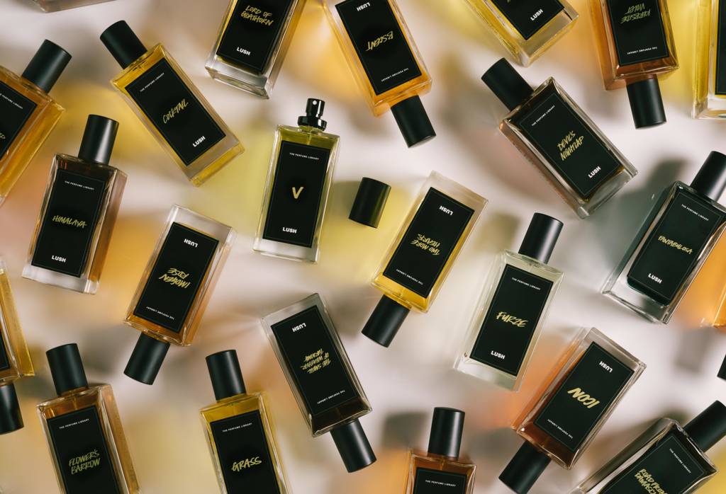 V - 100ml