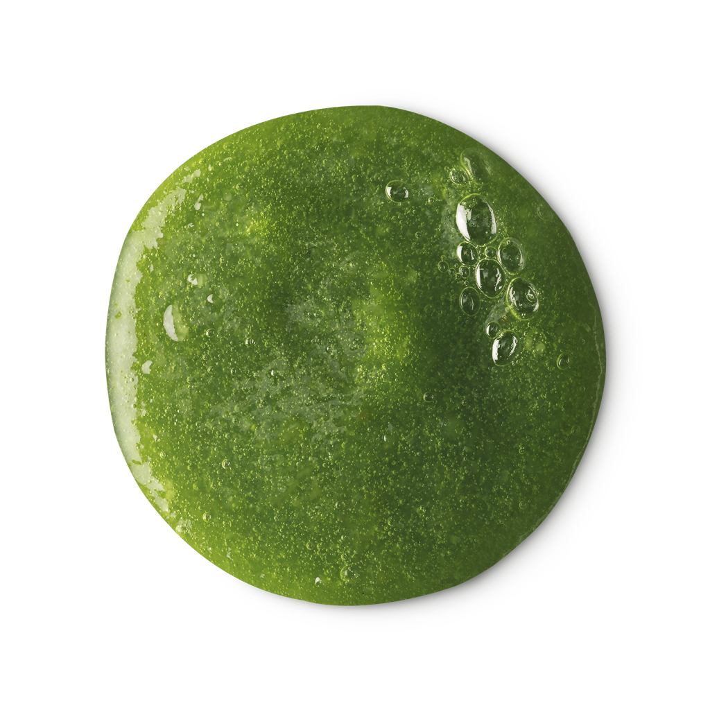 Wasabi Shan Kui
